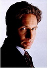 Mulder